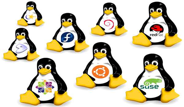 Hệ điều hành Linux là gì