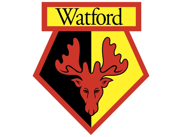 Câu lạc bộ bóng đá Watford – Lịch sử, thành tích của Câu lạc bộ