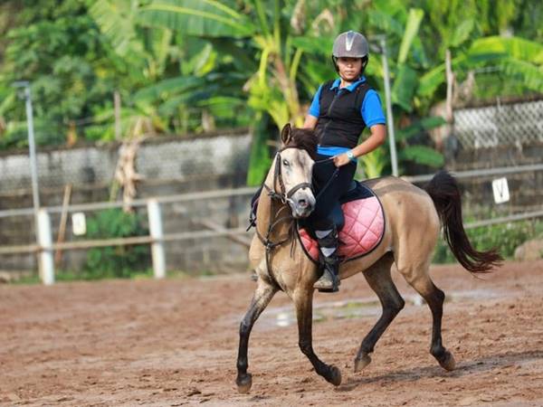 Thấy cưỡi ngựa thường xuất hiện con số may mắn nào